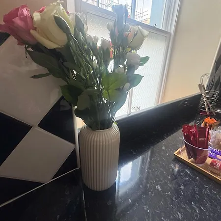 2 Hicks Lane, 1 Apartament *